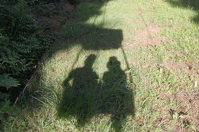 d0133704_14393016.jpg