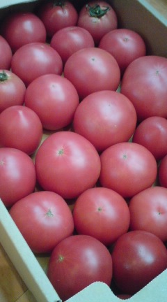 e0134907_14245584.jpg