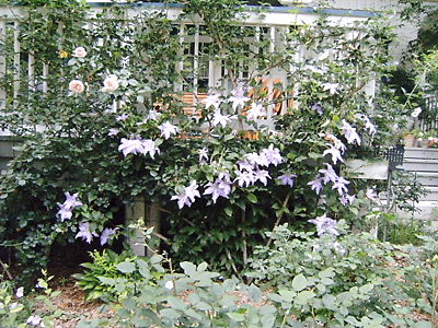 c0029913_0243139.jpg