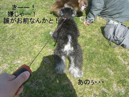 f0197317_18311382.jpg