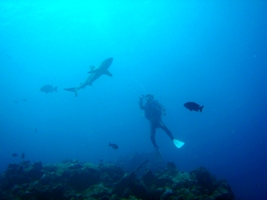 a0043520_0323568.jpg