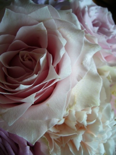 f0143521_21555879.jpg