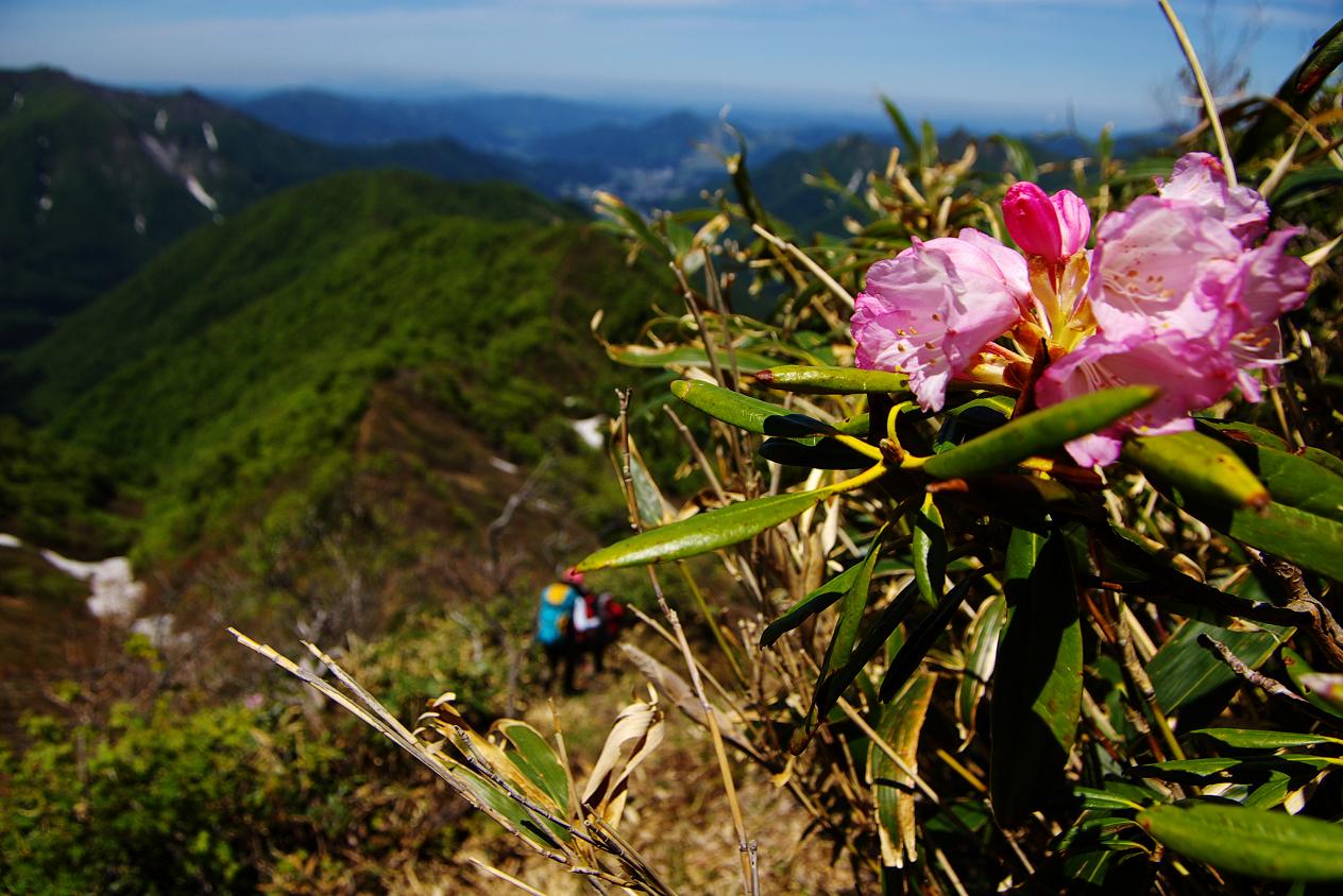 b0062024_7553882.jpg