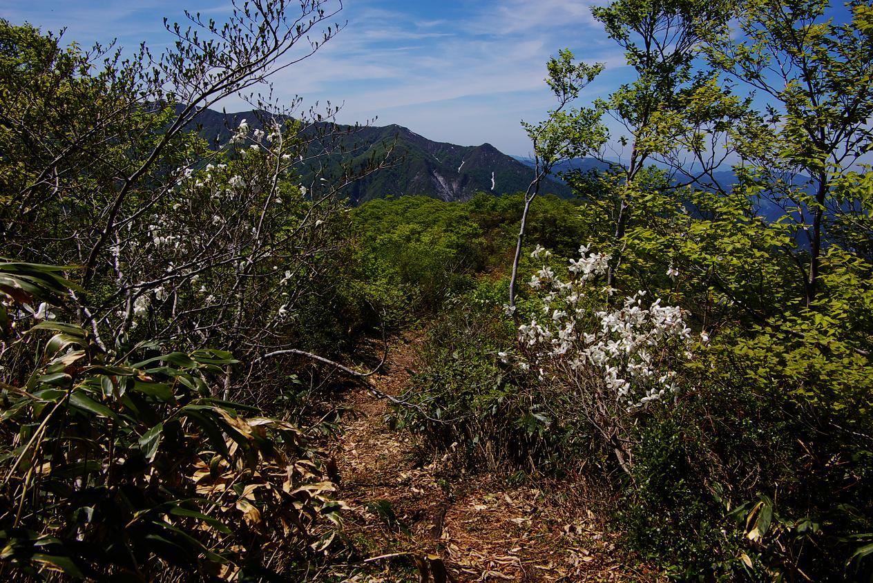 b0062024_7585239.jpg