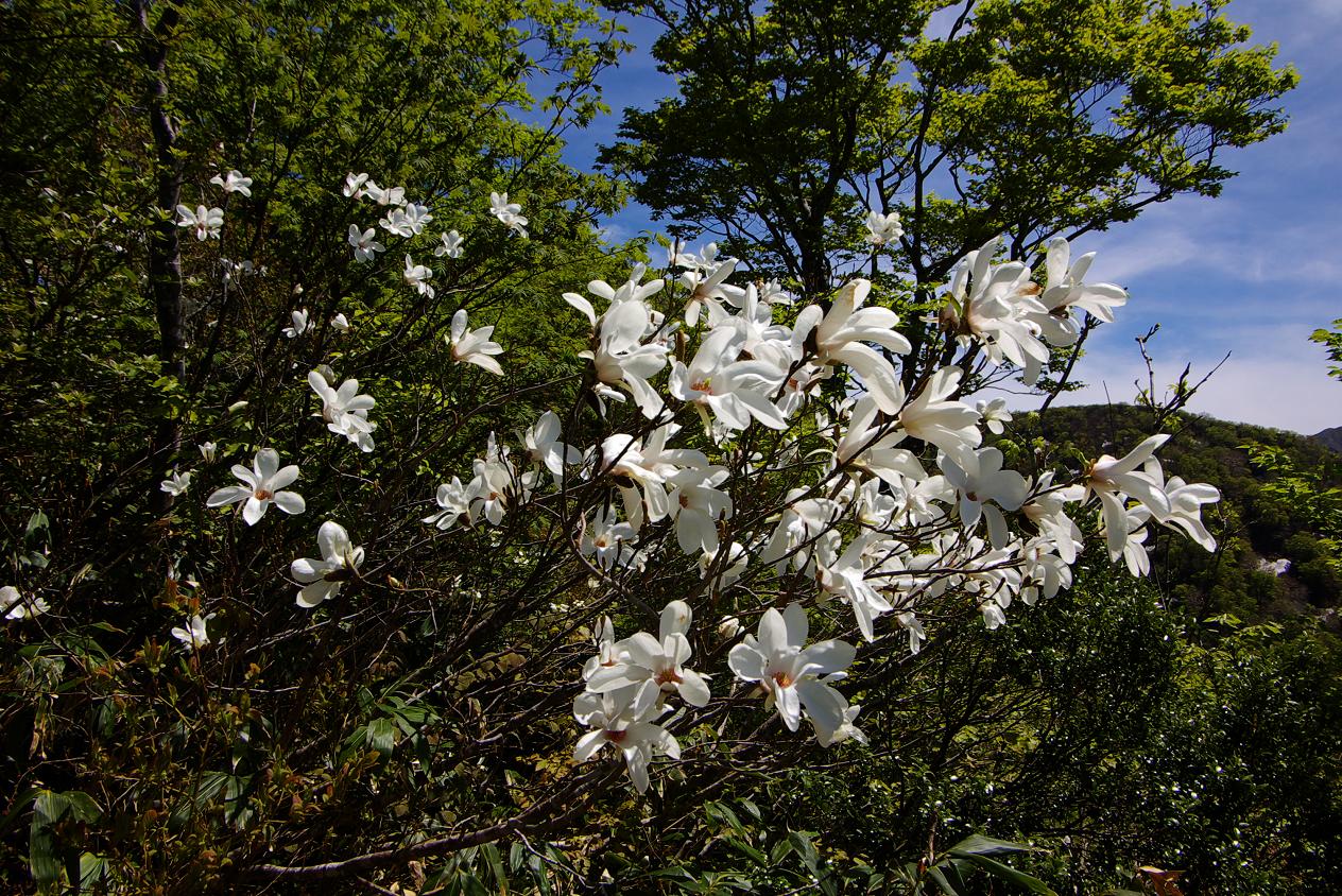 b0062024_7585936.jpg