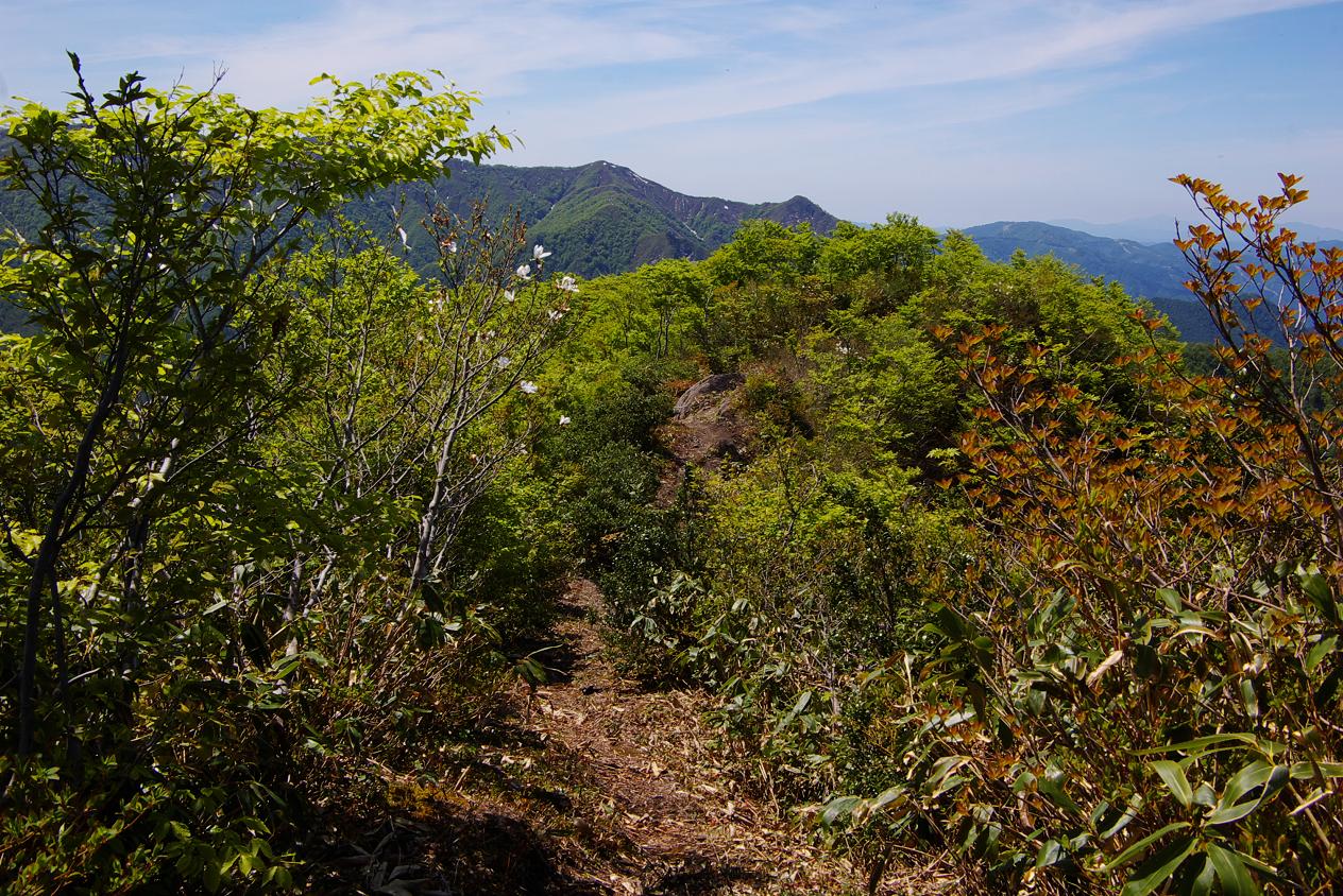 b0062024_7592317.jpg