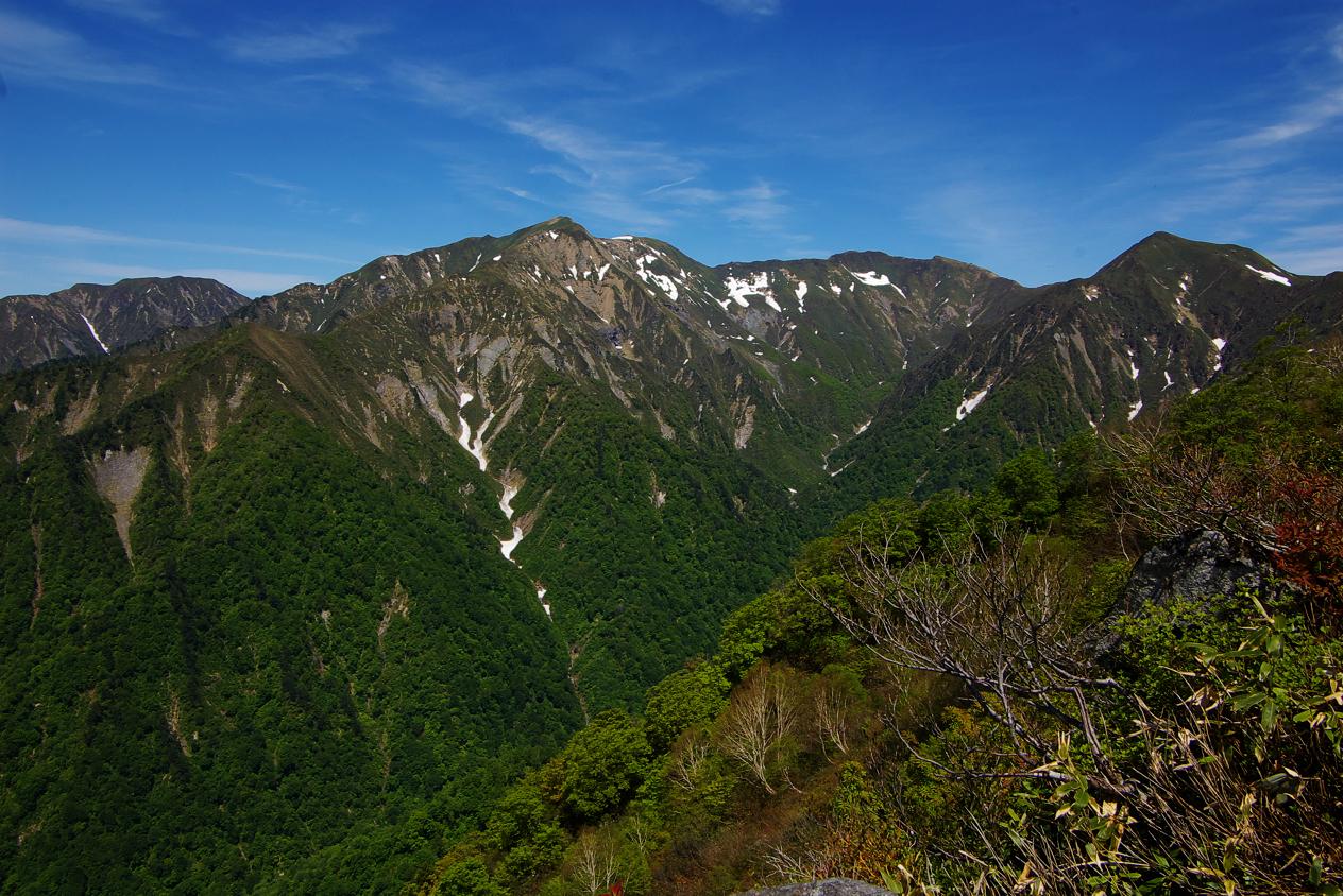 b0062024_801320.jpg