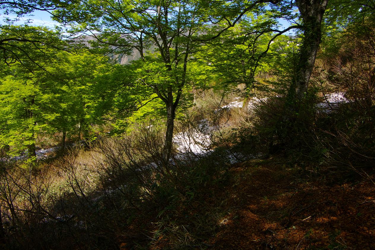 b0062024_805020.jpg