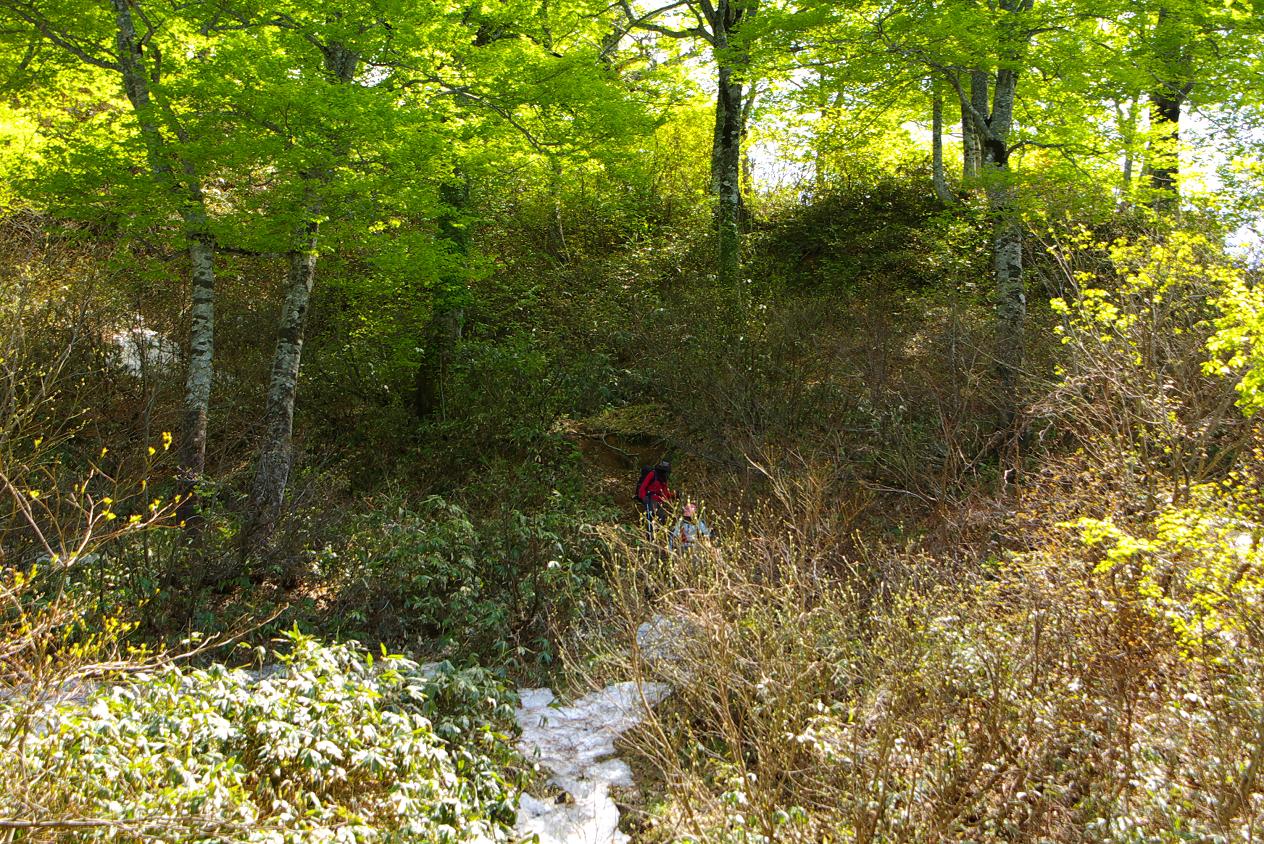 b0062024_812269.jpg