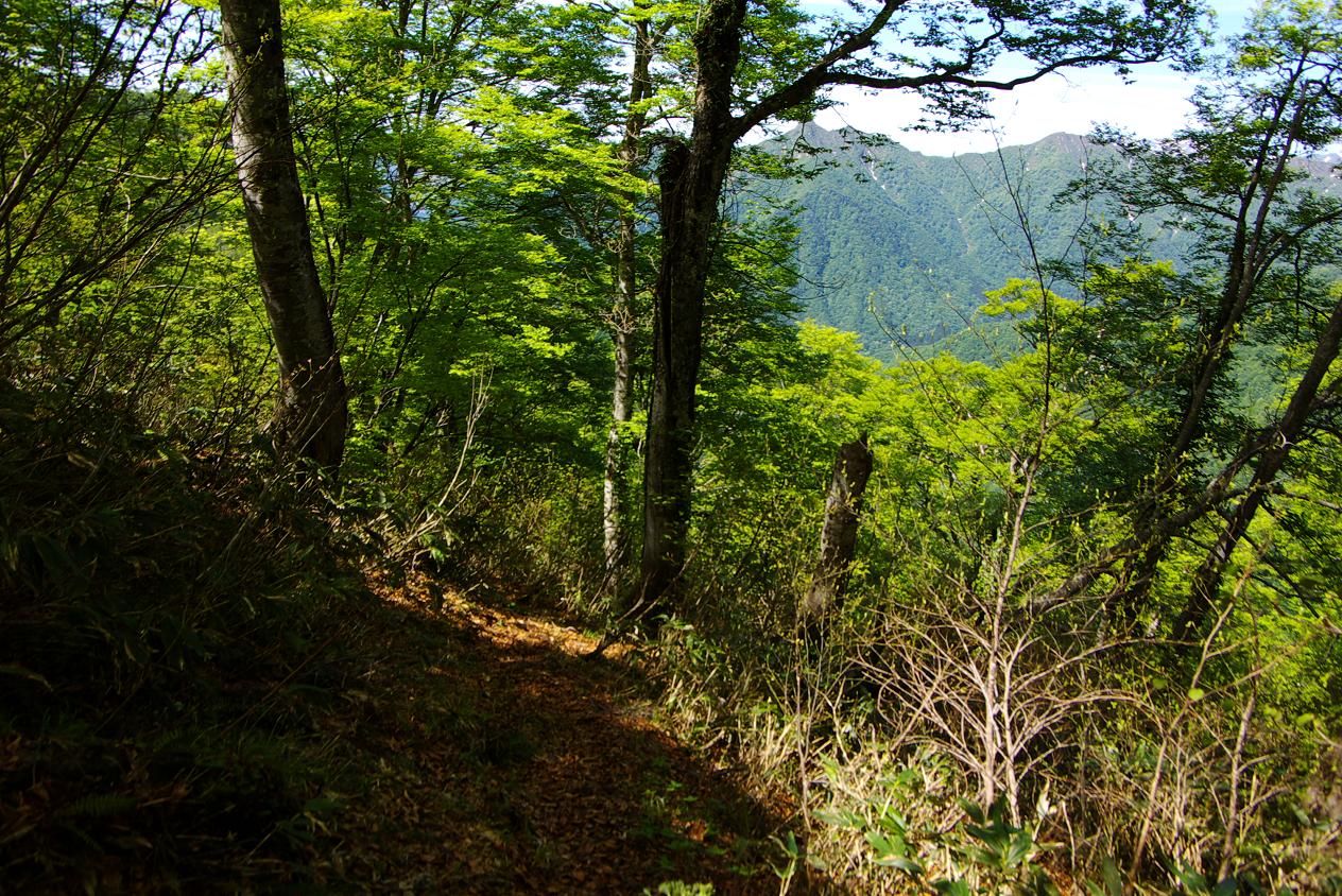 b0062024_81333.jpg