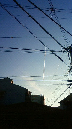 b0122729_1492174.jpg