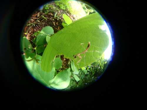 c0034029_2334774.jpg