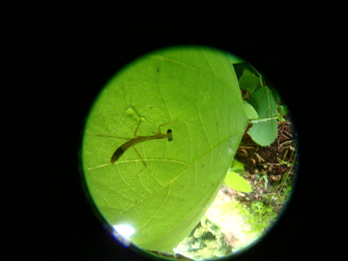 c0034029_2335753.jpg
