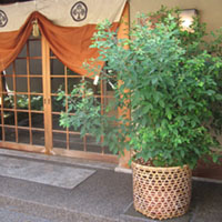 d0033734_2020182.jpg