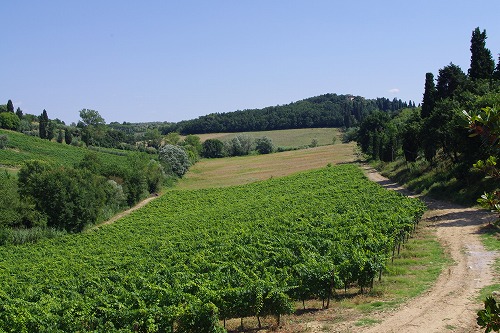 d0092439_21531293.jpg