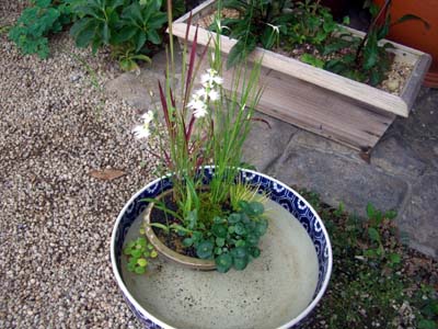e0110940_061461.jpg