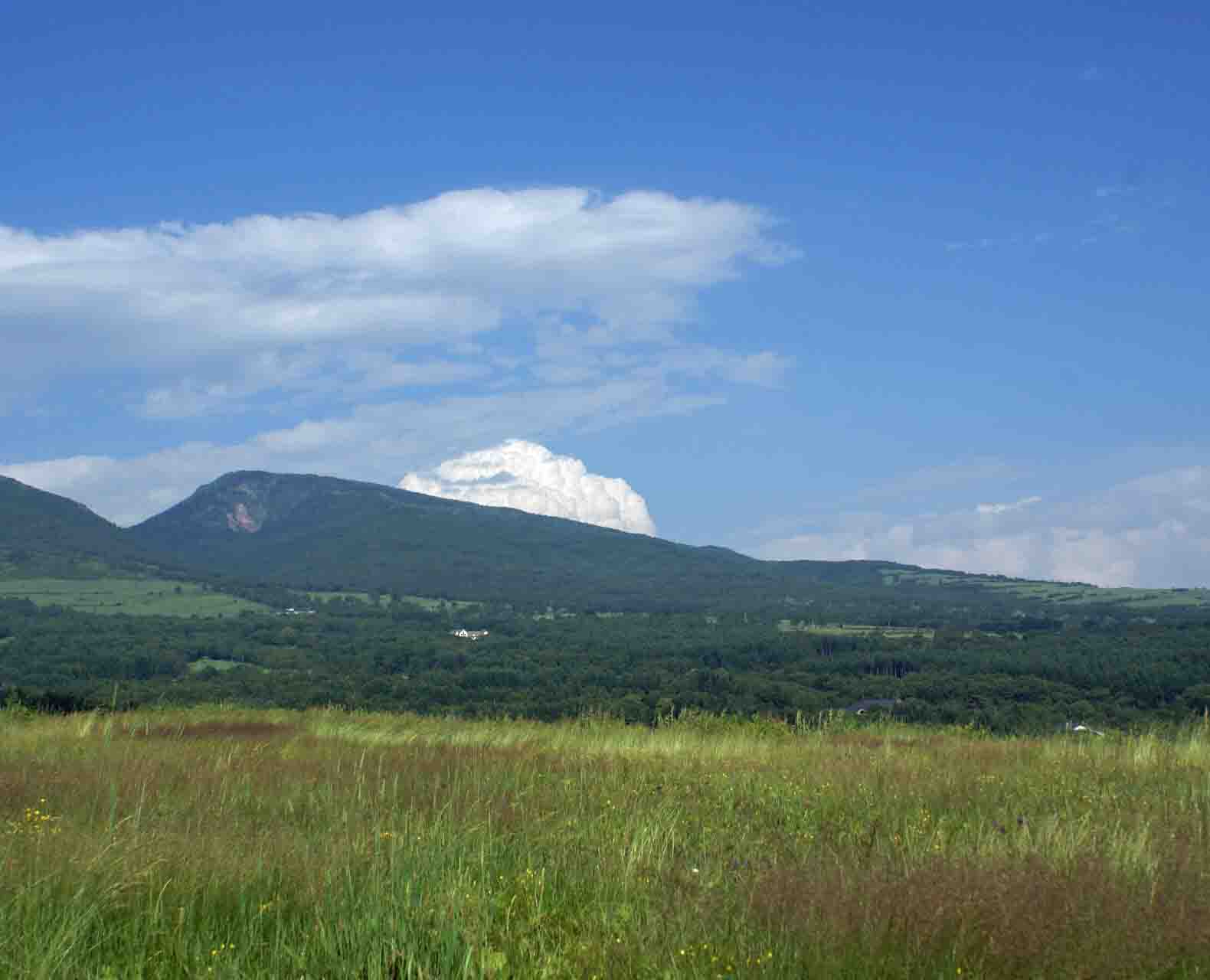 f0018144_15155351.jpg