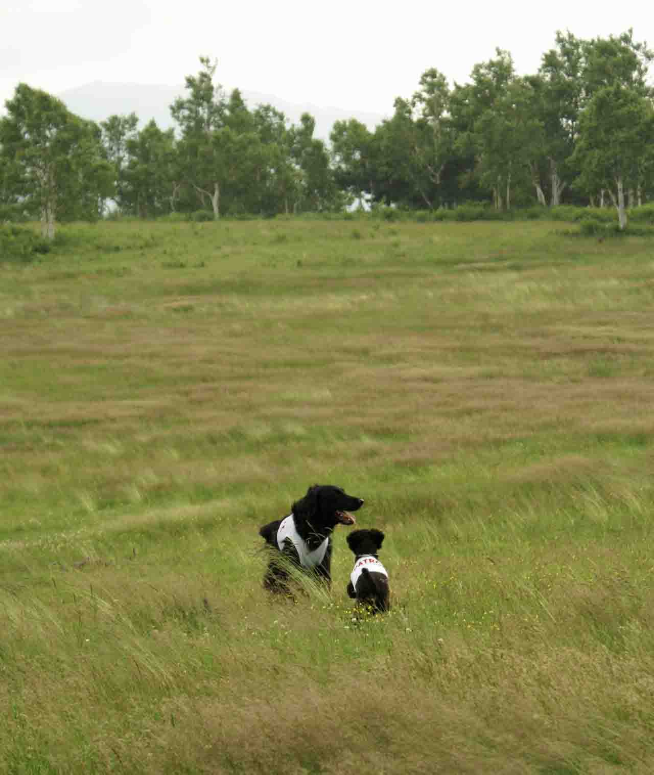 f0018144_15242554.jpg