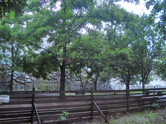 c0086746_1042713.jpg