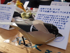 a0155452_0151931.jpg