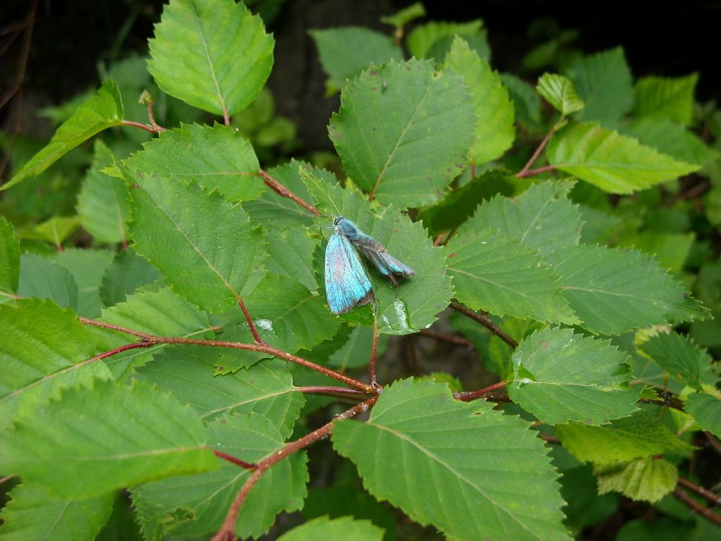 d0098057_4174828.jpg