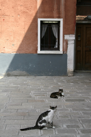 f0077159_19102661.jpg