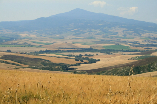 f0077159_583446.jpg