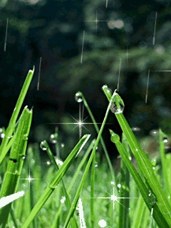 a0063364_03431.gif
