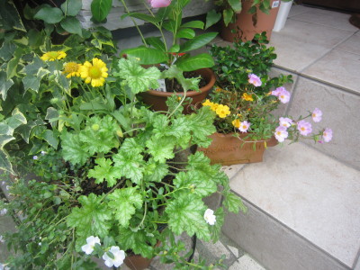 c0202870_8164416.jpg