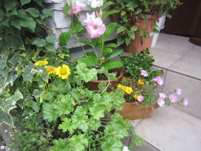 c0202870_8202975.jpg
