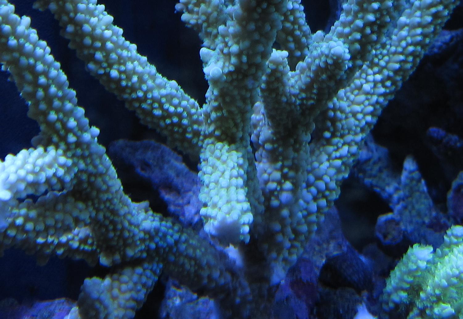 a0161975_21122590.jpg