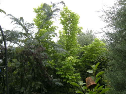 d0145675_13501422.jpg