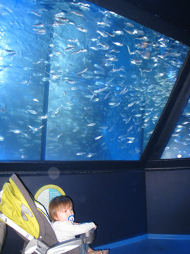 f0068883_14542100.jpg