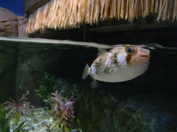 f0068883_15112927.jpg