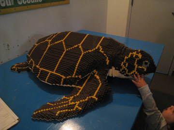 f0068883_15125890.jpg