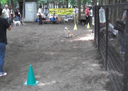 c0123890_20431887.jpg