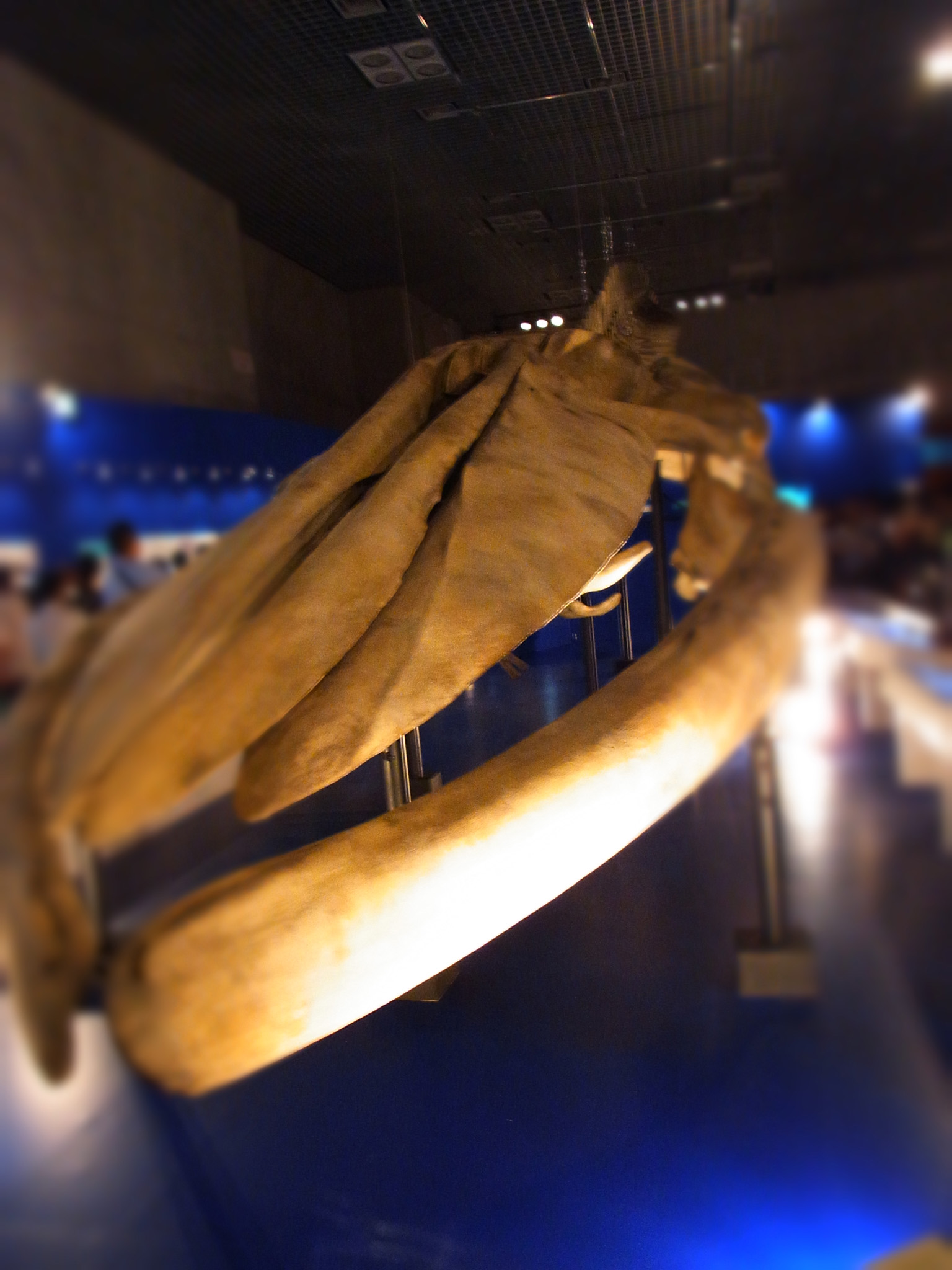 c0040191_14353768.jpg