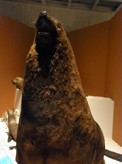 c0040191_16513882.jpg