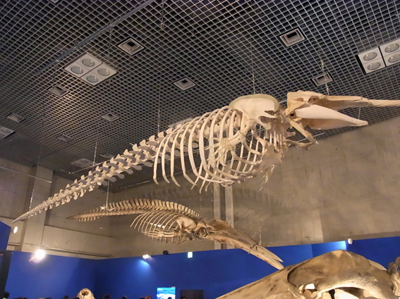 c0040191_1657678.jpg