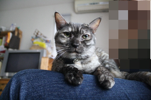 f0081594_17324689.jpg