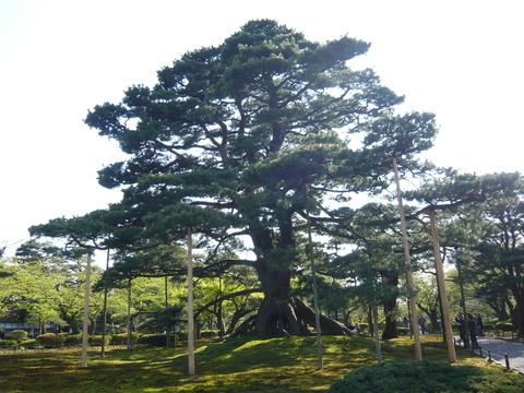 a0167397_1851513.jpg