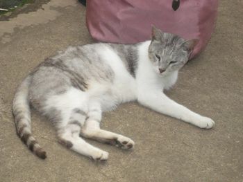f0201297_0245310.jpg