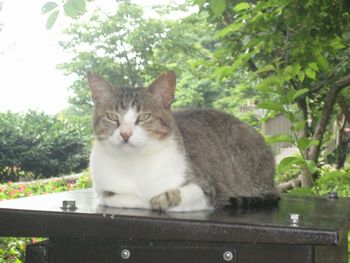 f0201297_024813.jpg