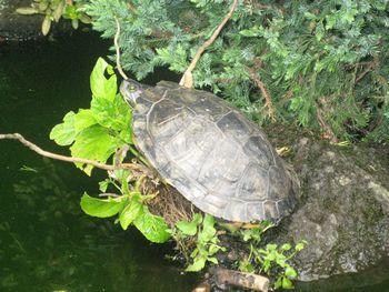 f0201297_0491095.jpg