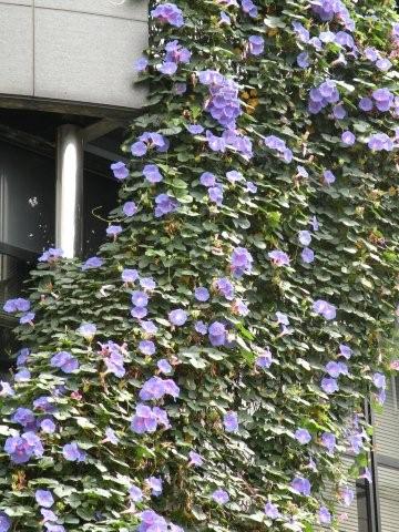 e0105599_11593153.jpg