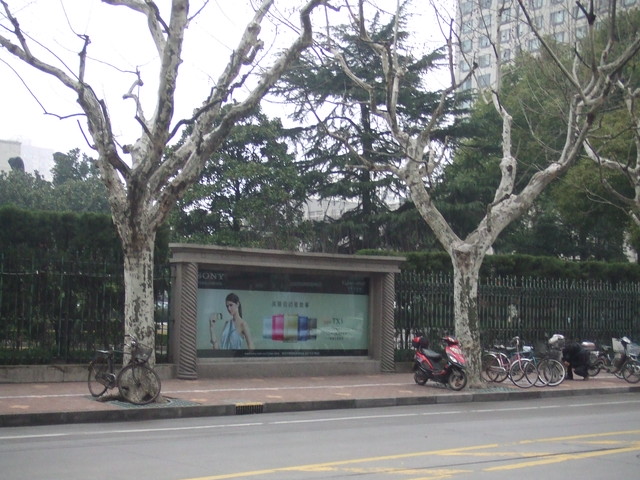 e0039100_21294853.jpg