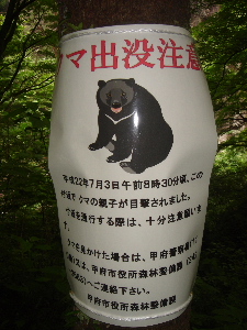 c0047602_21574416.jpg
