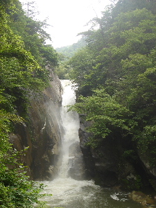 c0047602_2218476.jpg