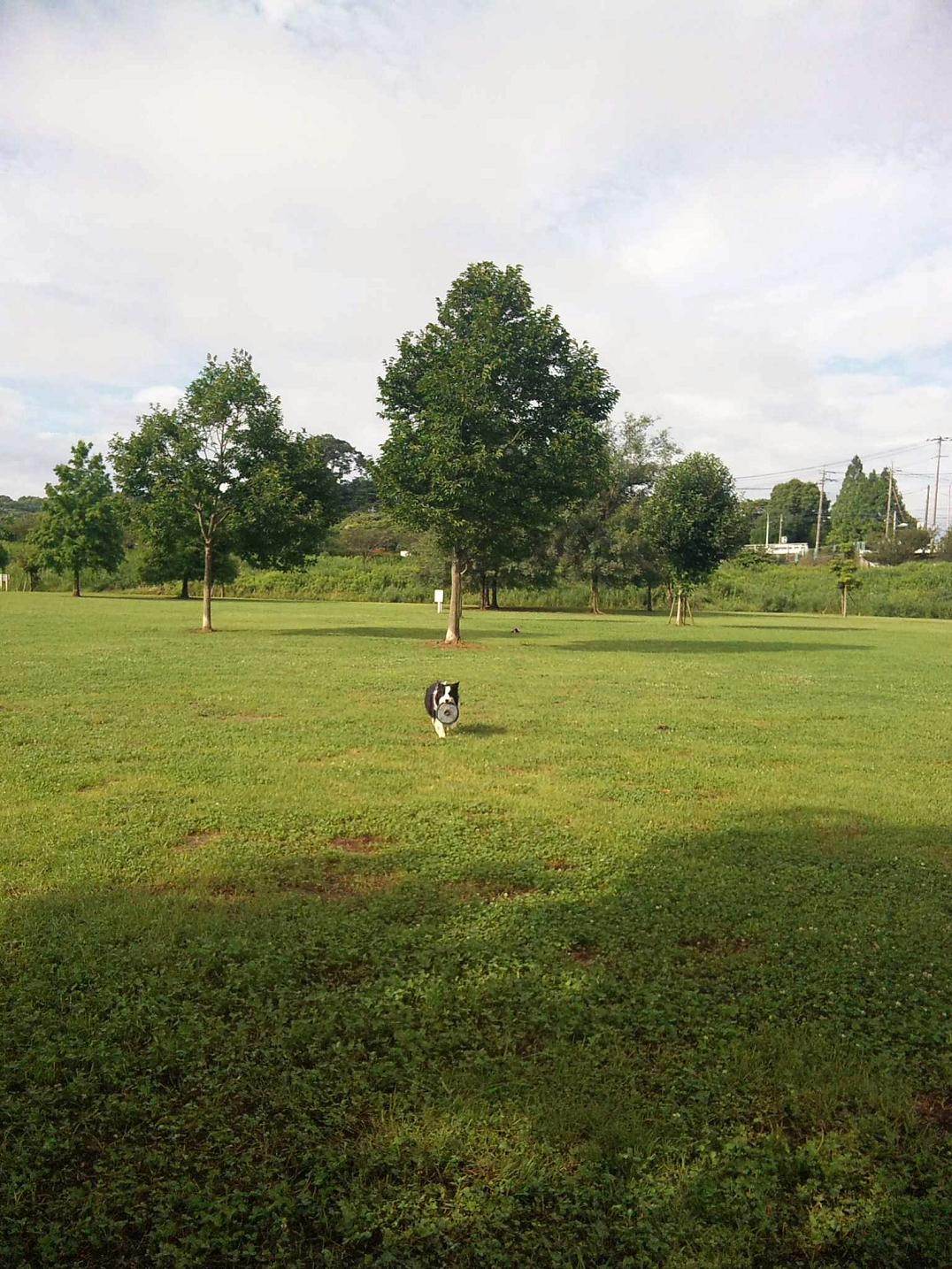 f0034602_18381971.jpg