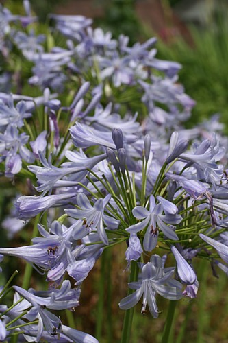 e0091804_22292519.jpg